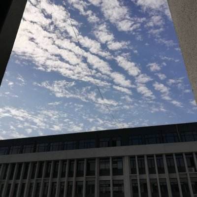 乐鱼官方下载手机版截图